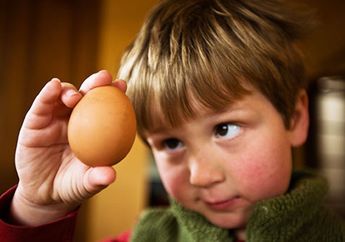 Jangan Takut Alergi Telur, Ada Kiat Mengatasinya untuk Anak dan Dewasa