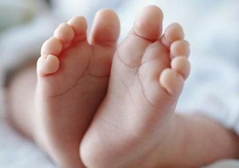 Cium Bau Menyengat, Seorang Warga di Palu Temukan Bayi Dikerubungi Lalat