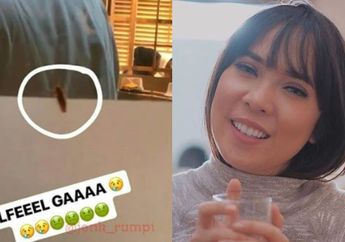 Curhat Soal Kecoa di Resto Sushi Favoritnya, Fitri Tropica Himbau untuk Jaga Kebersihan!