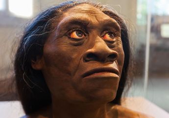 Apakah Manusia Purba Homo floresiensis Masih Hidup di Indonesia?