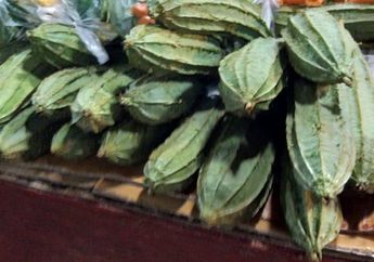 Dibandrol Rp 10 Ribu Dapat Banyak, Siapa Sangka Sayur Ini Punya Manfaat Luar Biasa untuk Tubuh, No. 3 Jadi Incaran Ibu-Ibu