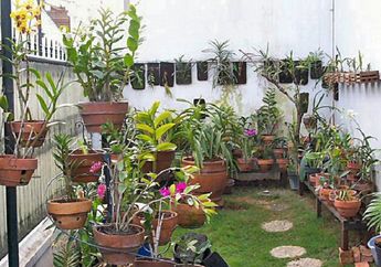 Bocoran dari Tukang Taman, Ini Alasan Kenapa Biaya Pembuatan Taman Kecil Mahal!