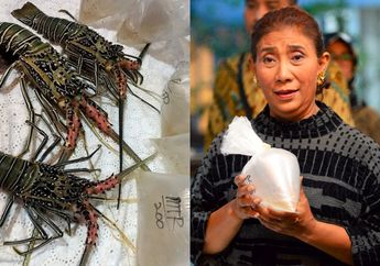 Susi Pudjiastuti Ingatkan Dampak Atas Revisi Kebijakannya, Jokowi Malah Berikan Jawaban Tegas Ini: 'Negara Dapat Manfaat'