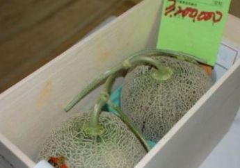 Bak Mobil Mewah, Sepasang Melon ini Dijual Seharga 400 Juta, Ternyata Alasannya Tak Terduga