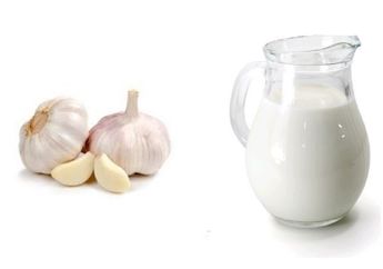 Racikan Susu dan Bawang Putih Ini Wajib Dicoba Sebelum Berhubungan Intim, Khasiatnya Bukan Main!