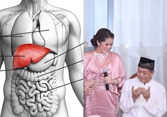 Cegah Kanker Hati Seperti Mendiang Ayah Olla Ramlan dengan 5 Minuman Alami Ini