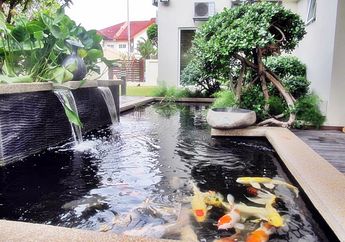Cara Praktis Atasi Kolam Ikan Koi yang Bocor, Lakukan Langkah Ini!