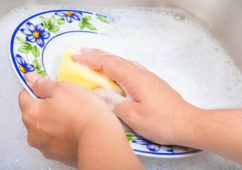 Tips Mudah Mencuci Piring Dan Sendok Berlemak Walau Tanpa Asisten