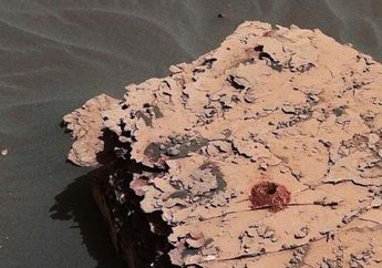Ditemukan Molekul Organik di Mars, Pertanda Kehidupan Masa Lalu?