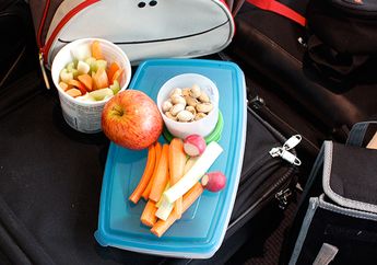 Kemas Bekal Untuk Mudik Dengan Cara Praktis Ini Agar Tidak Cepat Basi