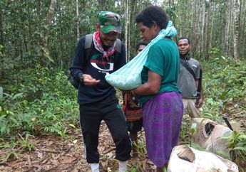 Imunisasi Bayi di Tengah Hutan, Beginilah Perjuangan Tenaga Kesehatan di Pedalaman Papua