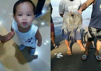 Diajak Liburan ke Pantai, Seorang Balita Meregang Nyawa Setelah Tersengat Ubur-ubur, Kisahnya Jadi Pelajaran