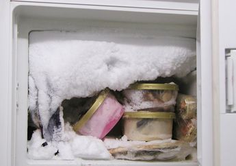 Satu Indonesia Enggak Tahu! Diam-diam Bikin Bahaya, Ternyata Ini Biang Kerok Penyebab Bunga Es di Freezer, Anda Melakukannya?