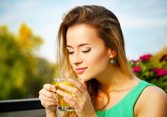 Teh Herbal & 4 Jenis Teh Beserta Manfaatnya yang Baik Bagi Kesehatan!