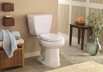Bagaimana Cara Mengusir Noda Kuning pada Dudukan Toilet? Tinggal Siapkan Pasta Bumbu Dapur Ini!