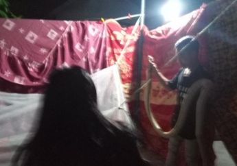 Remaja Palangkaraya Dinyatakan Meninggal Digigit King Cobra, Keluarga Panggil Pawang Ular Lakukan Ritual untuk Hidupkan Kembali