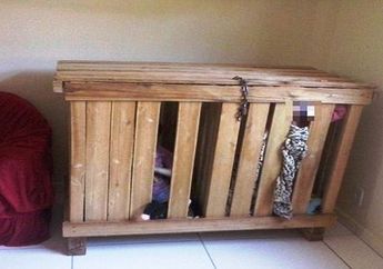 Tega Bukan Main, Siapa Sangka Pasangan Ini Sengaja Masukan Kedua Anaknya ke Lemari yang Mirip Kandang Ayam, Terungkap Alasannya!