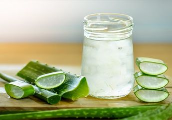 Minum Jus Aloe Vera Berikan 4 Khasiat Tak Disangka Ini Lho! Tertarik?