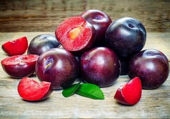 Karena Kandungan Seratnya yang Tinggi Juga Kaya Antioksidan Pantaslah Buah Plum Bermanfaat untuk Diet