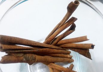 Gak Perlu Lagi Ke Salon, Perawatan Di Rumah Pakai Bahan Dapur ini Dijamin Bebas Dari Jerawat!