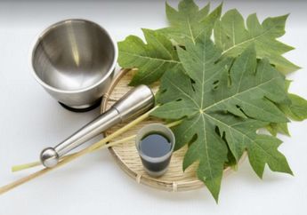 Selain Jadi Obat Herbal Masuk Angin, Daun Pepaya Bisa Mengatasi Berbagai Masalah Tubuh Ini