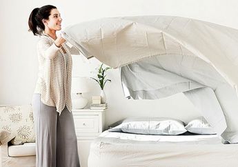 Suka Menumpuk Baju Kotor di Kasur Bisa Sebabkan Kutu Busuk Hinggap, Atasi dengan Cara Berikut Ini!