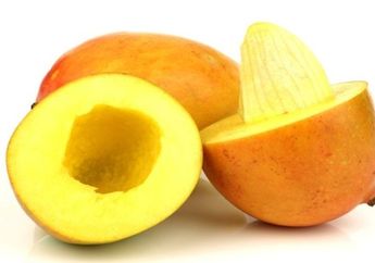 Jangan Dibuang! Biji Mangga Ternyata Bisa Atasi Ketombe Dalam Sekejap