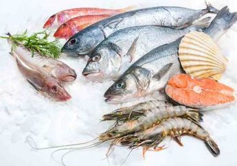 Tak Disangka-sangka, Jenis-jenis Ikan yang Sering Jadi Masakan Rumah Ini Tinggi Merkuri, Simak Batas Aman Konsumsinya Agar Aman!