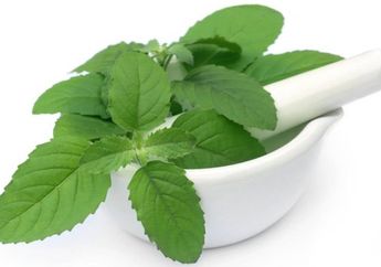 Hilangkan Bekas Jerawat, Ini 5 Manfaat Ajaib Daun Kemangi Buat Kecantikan!