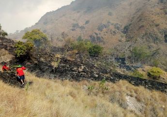 Sabana Gili Lawa Kebakaran, Kawasan Taman Nasional Komodo Ditutup sementara