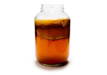 Minum Kombucha Seminggu Penuh, Ada Manfaat 4 'Aneh' yang Tak Terduga