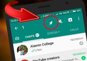 Punya Fungsi Penting! 4 Fitur WhatsApp Ini Justru Sering Kita Abaikan!