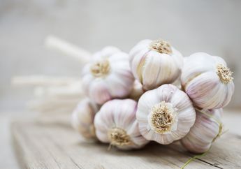 5 Ramuan Diet Bawang Putih yang Bisa Turunkan Berat Badan Lebih Efektif. Cobain Yuk!