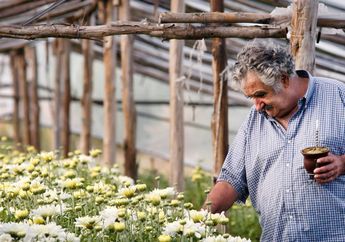 Tinggal di Perkebunan, Ini Dia Rumah Jose Mujica yang Disebut Presiden Termiskin di Dunia