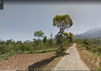 Yuk Lihat Kamera Canggih Google Street View yang Kerap Blusukan