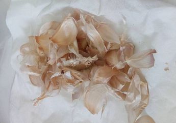 Cuma Rendam Kulit Bawang Putih Selama 10 Menit, Penyakit Mematikan ini Pun Tidak Berani Menyentuh Tubuh