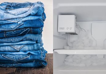 Ajaib, Ternyata Tak Hanya Bisa Memperpanjang Umur Makanan, Freezer Bisa Membunuh Bakteri di Celana Jeans