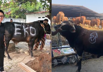Sapi Kurban Eko Patrio dan Raffi Ahmad Sama-sama Diberi Nama, Hanya Eko yang Dihujani Kritikan
