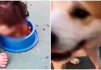Balita Ini Dipaksa Memakan Makanan Anjing oleh Ibunya Sendiri, Alasannya Kok Mengada-Ada