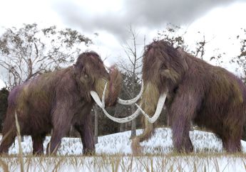 Fasilitas Kloning ala Jurassic Park Dibangun untuk Hidupkan Mammoth