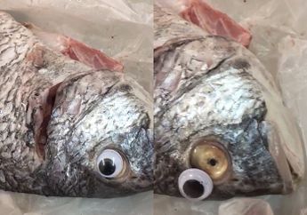 Modus Penipuan Baru! Pedagang Ini Tempel Mata Mainan Agar Ikan Jualannya Nampak Segar