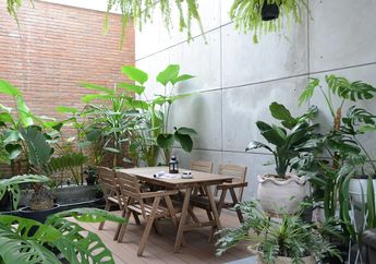 Bak di Hutan, Begini Sejuknya Penerapan Gaya Urban Jungle di Rumah, Mau Coba?