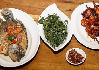 4 Hal yang Wajib Diperhatikan Sebelum Mengolah Ikan Air Tawar