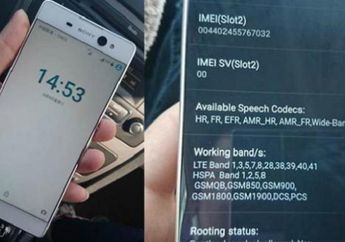 Simak yuk 3 Fungsi Tersembunyi dari Deretan Angka IMEI pada Ponsel