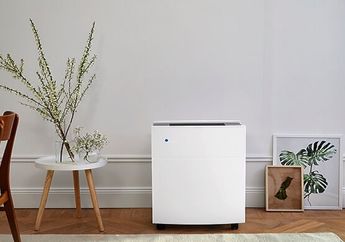 Ringankan Penyakit yang Sempat Diidap Rina Gunawan, Simak 3 Pertimbangan Sebelum Beli Air Purifier yang Jarang Diketahui!