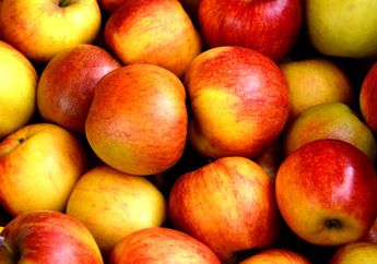 Konsumsi 8 Buah-Buahan Ini Kalau Ingin Cepat Kurus. Wajib Tahu!