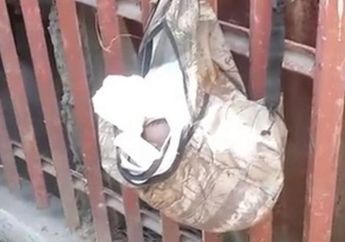Bayi Ditemukan oleh Seorang Petugas Kebersihan Tersangkut di Pagar Rumah Warga, Begini Akhir Kisahnya