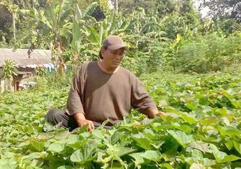 Dulu Tajir Melintir, Aktor Ini Bangkrut Lalu Terjerumus Narkoba Hingga Terpaksa Naik Angkot dan Menanam Sayuran untuk Makan