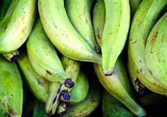 Gak Perlu Tunggu Sampai Matang, Pisang Mentah Bisa Turunkan Berat Badan Hingga Kontrol Diabetes dalam Tubuh