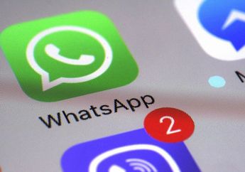 Grup Video Call WhatsApp 8 Orang Sekaligus Sudah Bisa Dicoba di Versi 2.20.133